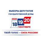 Выборы